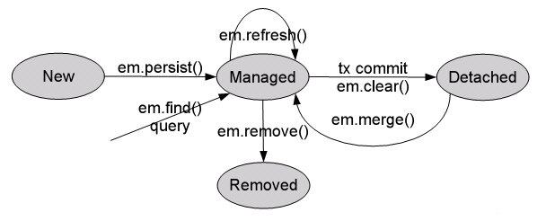 Ciclo de vida de uma entidade