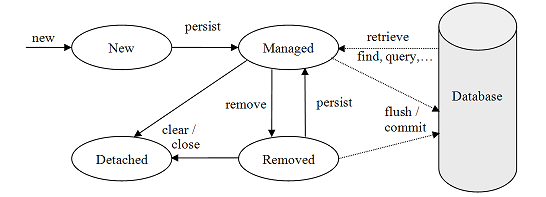 Ciclo de vida de uma entidade